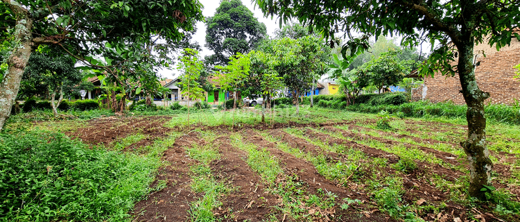 Tanah di Bandung Ciparay Lahan Datar, SHM 1