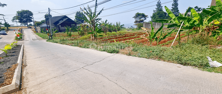 Tanah di Jogja Area Kulon Progo Dekat Polsek Panjatan 1