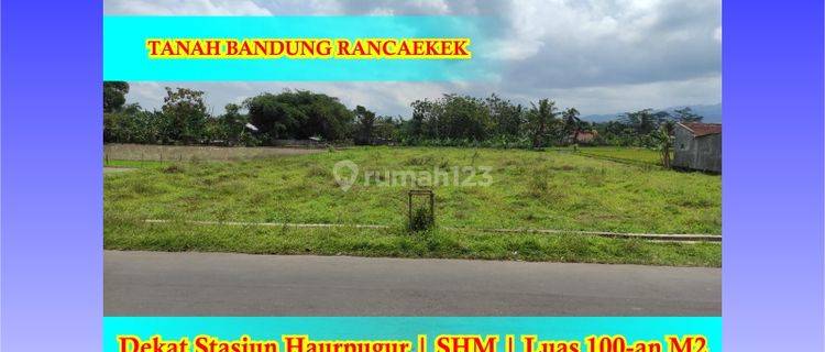 Tanah Dijual Bandung Area Rancaekek Pinggir Jalan Aspal, SHM 1