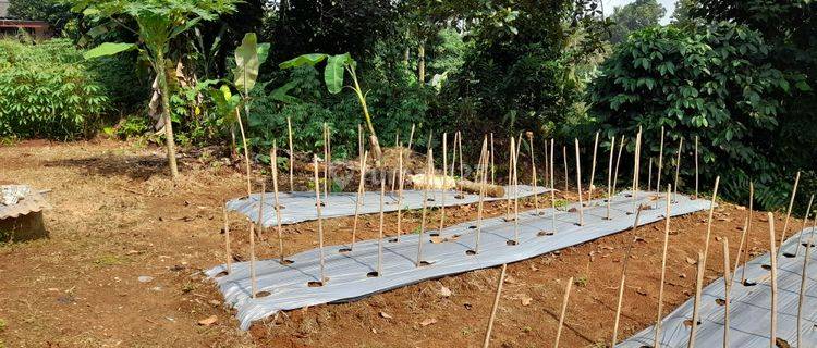 Jual Tanah Di Cidokom Parung di Jl. Kp. Cidokom, Cidokom, Kec. Gn. Sindur, Kabupaten Bogor, Jawa Barat, Parung AJB 1