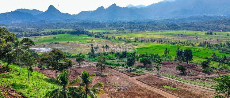 Tanah Kavling Murah View Sawah Dan Pegunungan Bogor 1