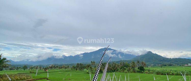 Tanah Sawah 400 Meter Akses Mobil Masuk  1