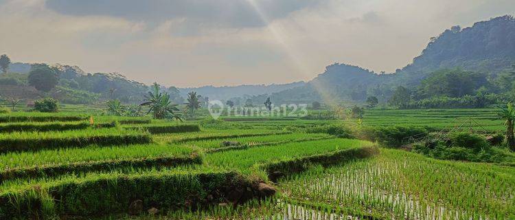 Kavling Sawah Nempel Sungai Akses Masuk Mobil 1