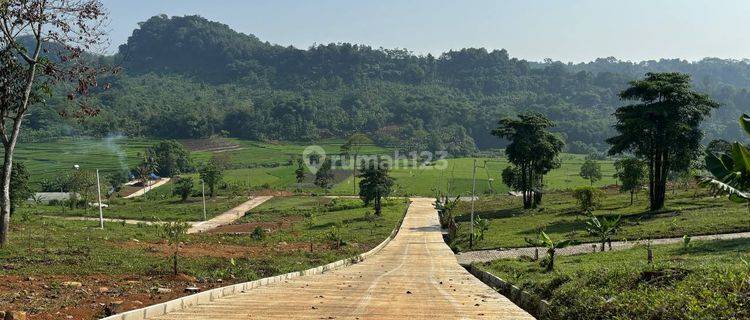 Tanah Murah di Bogor 390 ribuan Per meter Buat Villa Kebun 1