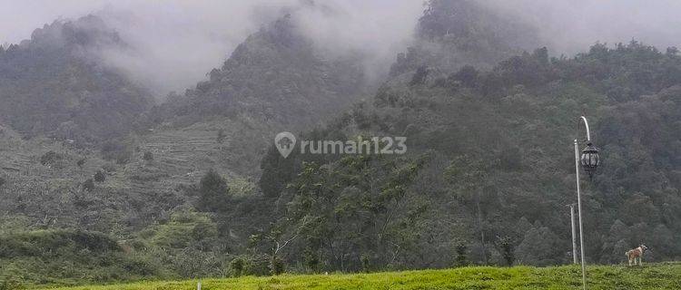 Tanah Shm Nempel Wisata Puncak Dua Ketinggian 1000 Mdpl  1