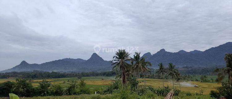 Tanah MURAH Akses Langsung Jala Raya Provinsi Di Bogor  1