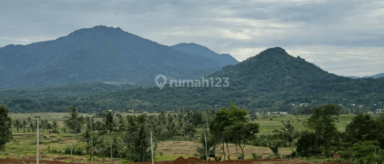 Tanah Kavling Murah 200 Meter Akses Langsung Jalan Raya 1