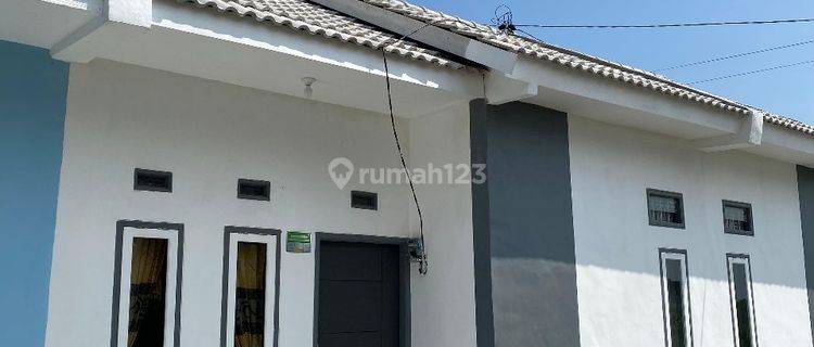 Harga 100 Ribu Bisa Membeli Rumah di kencong 1