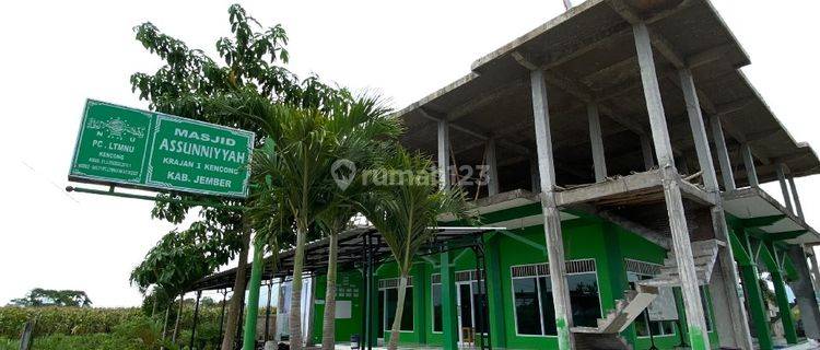 Uang 100 Ribu Untuk Beli Rumah di Perumahan Syahfalah 1