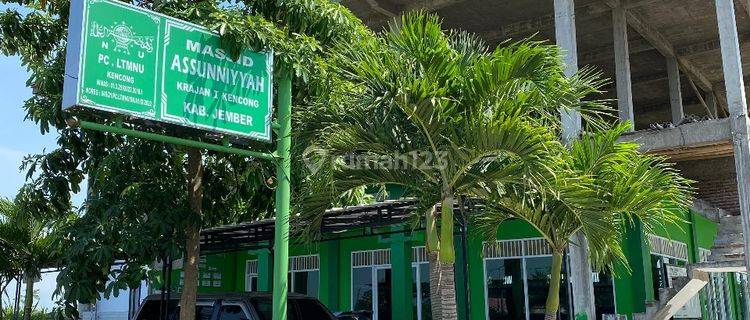 Perumahan HGB di Griya Syahfalah Dijual 100 Ribu 1