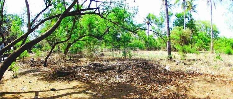 3000sqm Pristine Flat Land Gili Meno Gp0109 1