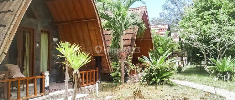 5 homestay Close To The Harbour Gp0111 1