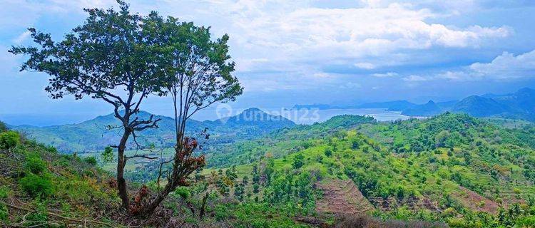 1000 Sqm Land Selong Belanak Lombok Gp0121 1