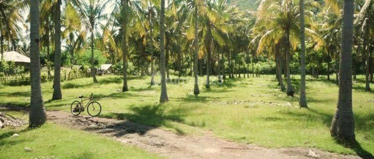 A Flat Land For Sale 2000 Sqm Gp0146 1