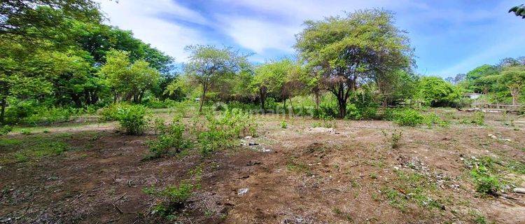 10 Are Land For Sale In Gili Air Gp0201 1