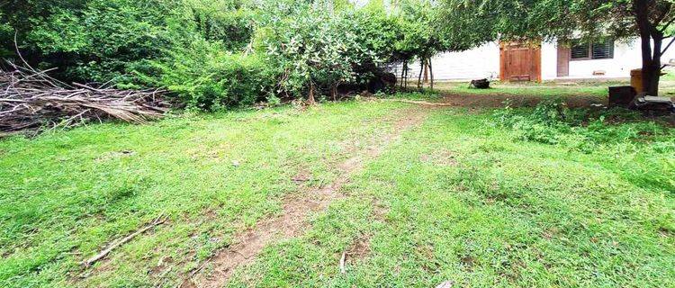 Land For Sale In Trawangan Gp0203 1