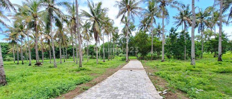 Prime Land Plots In Trawangan Gp0206 1