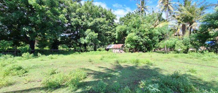 Prime Land Opportunity In Gili Air Gp0212 1