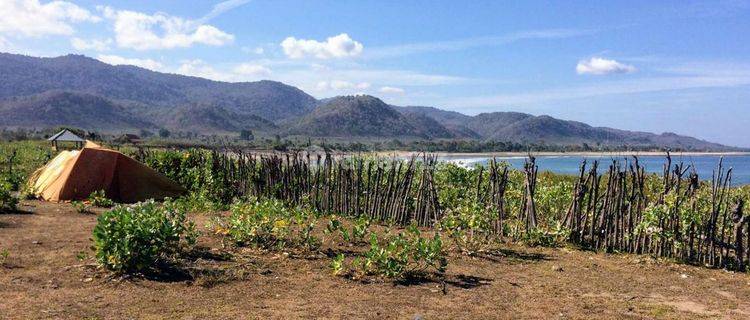 Prime Beachfront Land For Sale In Sumbawa Gp0309 1