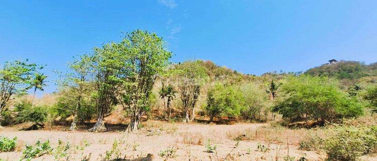 Land For Sale In Selong Belanak Gp0229 1