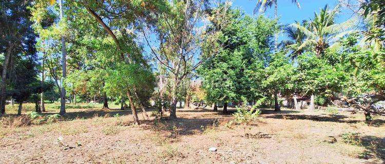 Prime Land for Sale in East Gili Air GP0217 1