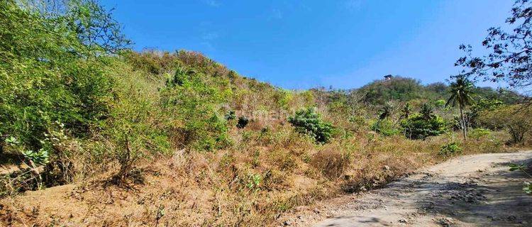 Land For Sale In Selong Belanak Gp0229 1