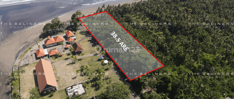 Expansive Freehold Land Offering Sweeping Ocean Vistas 1