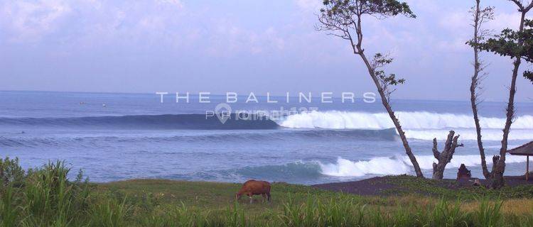 Beachfront Land In Klungkung A Surfer s Paradise 1