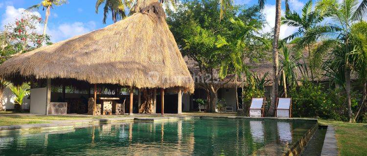 A Coastal Oasis Near Selong Belanak Beach, Lombok 1
