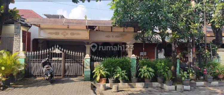 Dijual Rumah di Badak Raya Semarang SHM Bagus Hadap Utara 1