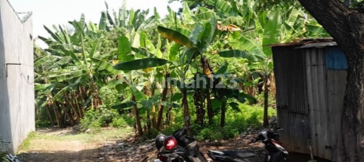 Strategic Land Ready to Use in Walisongo Mangkang Semarang 1