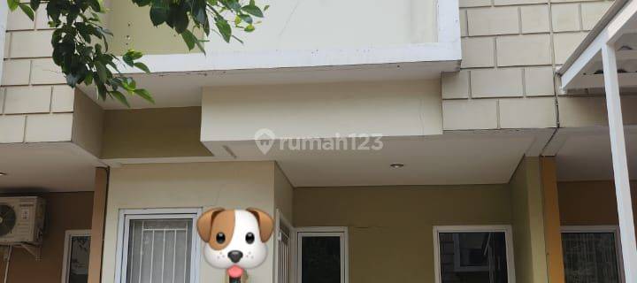 Sewa Murah Rumah Cluster Virginia Gs 1