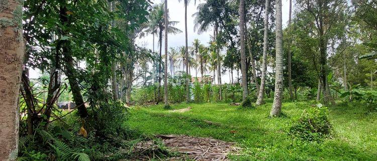 Tanah SHM Dibawah Pasaran Lokasi Strategis Dikawasan Pasteur 1