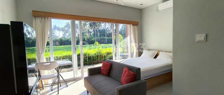 Beautiful Apartment Minimalis One Bedroom With Rice View At Ubud  1