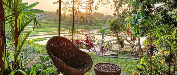 2 Bedroom Beautiful Vila For Rent Rice Field View At Ubud  1