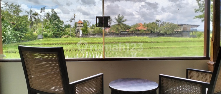 Sewa one bedroom vila clasic view sawah langsung lokasi Ubud 1