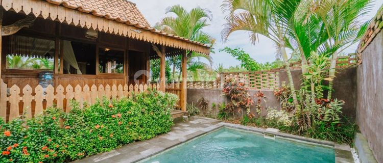 Sewa vila clasic joglo private pool view di Ubud 1