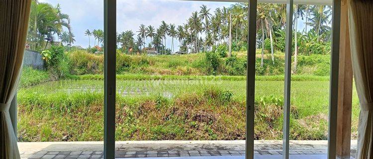 Vila modern minimalis one  bedroom with rice field view di Ubud   1