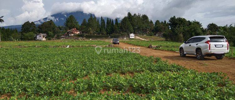 Tanah kavling 200m² di Jalan Cikopo Selatan Megamendung Bogor 1