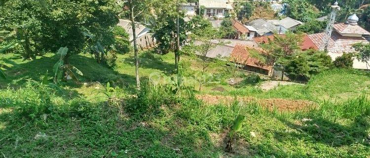 Tanah Murah di Gunung Geulis, Kopi Nako, Bogor 2.016 m² 1