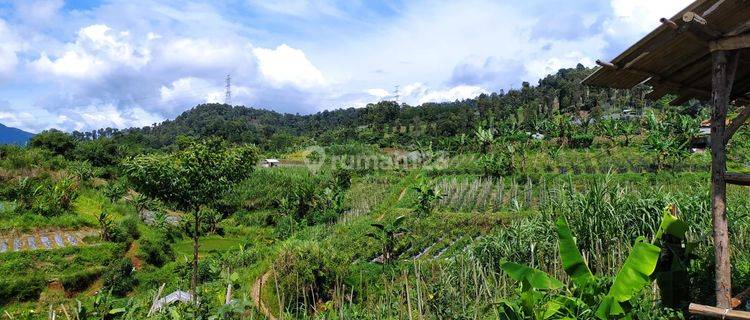 Tanah Murah di Kabandungan Sukabumi, Sukabumi SHM 20 Ha 1