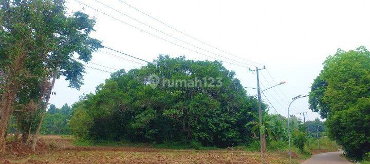 Kapling Murah Setu Bekasi, Kawasan Pasar Tradisional Jayamulya Free Biaya Biaya  1