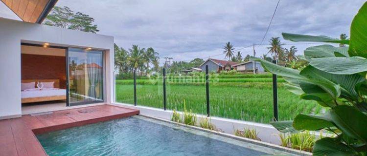 Full Furnished Rice Field View Villa in Lodtunduh Ubud Bali 1