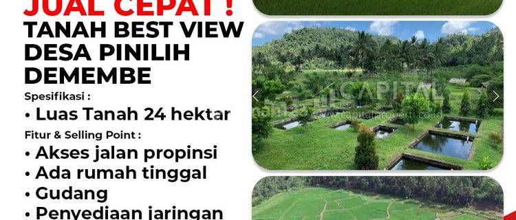 Jual Cepat harga murah lahan potensial, strategis sebagai agrobisnis plus  agrowisata, produktif utk pertanian,  perkebunan Dan peternakan yg potensial di Desa pinilih, dimembe , Sulawesi utara. 1