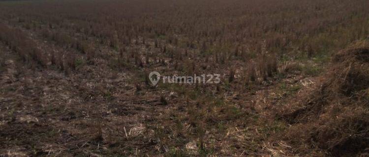 Tanah Tambun Utara, Bekasi. Dijual 1