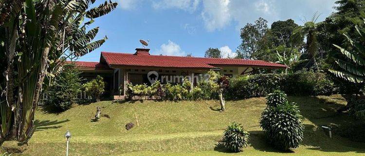 Jual Villa Puncak Bogor View 360 Income 100 Juta bulan 1