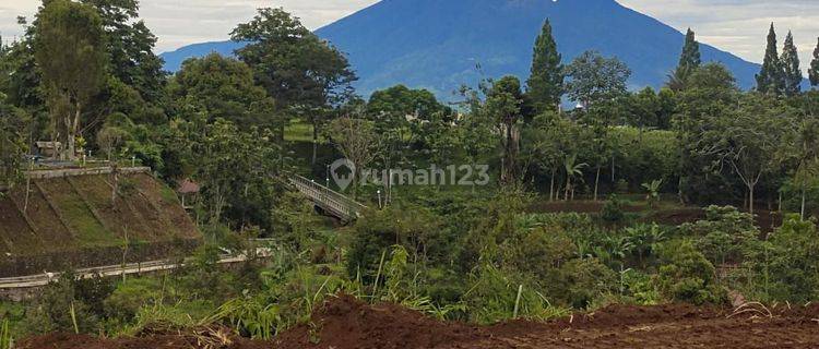 Jual Tanah Murah Shm Siap Bangun Di Puncak Bogor 1