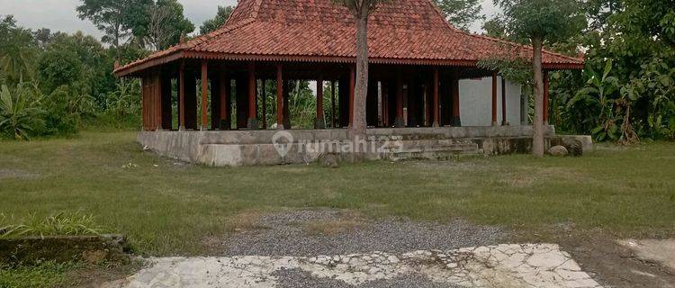 Ruang-Usaha di Jl. Raya Selomartani, Ngrangsang, Selomartani, Kec. Kalasan, Kabupaten Sleman, Daerah Istimewa Yogyakarta, Kalasan 1