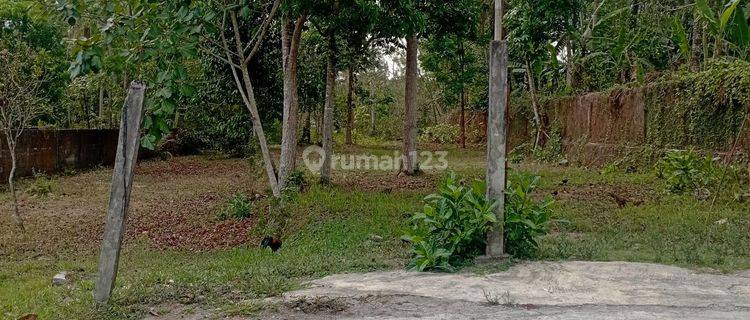 Tanah Pekarangan Di Harjobinangun Pakem Sleman Yogyakarta 1