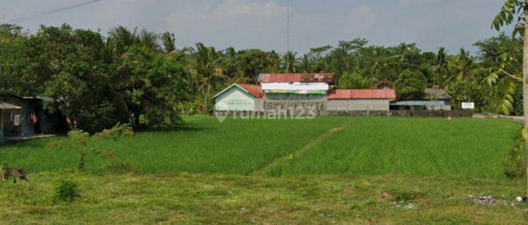 Tanah Luas 4.860 Meter Persegi Di Jl Kutoarjo - Ketawang Jawa Tengah 1